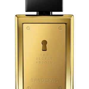 THE SECRET ABSOLU edp men 100ml марка
