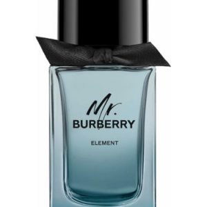 MR BURBERRY edt men 100ml TESTER