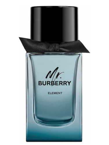 MR BURBERRY edp men 100ml TESTER