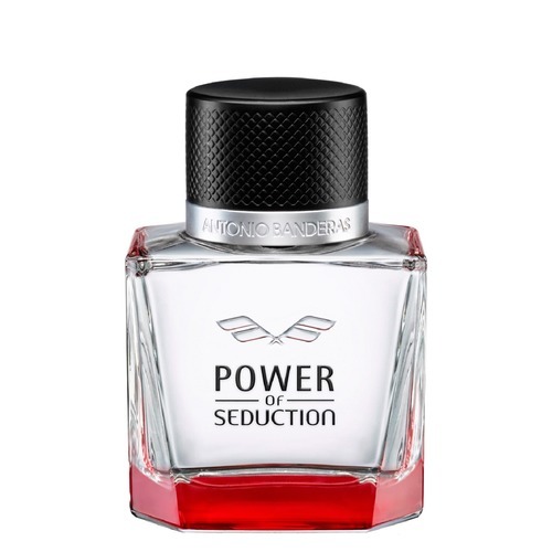 POWER OF SEDUCTION edt men 100ml